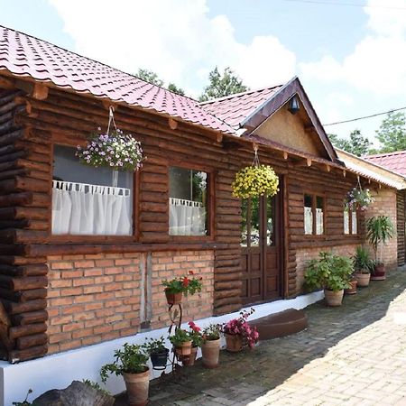 Panorama Lomnica Despotovac Exterior foto