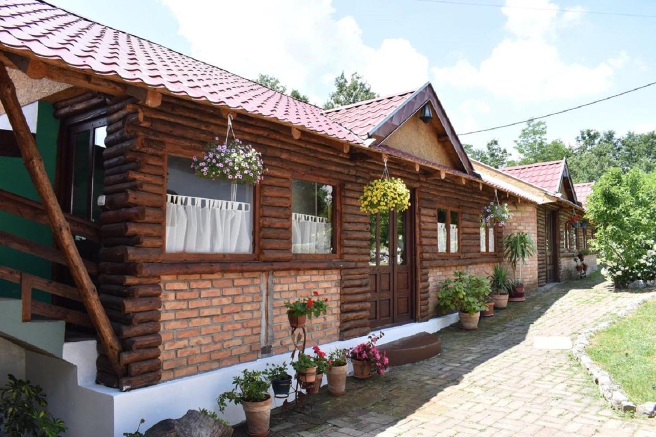 Panorama Lomnica Despotovac Exterior foto