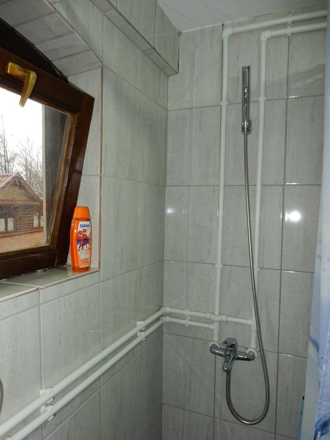 Panorama Lomnica Despotovac Exterior foto