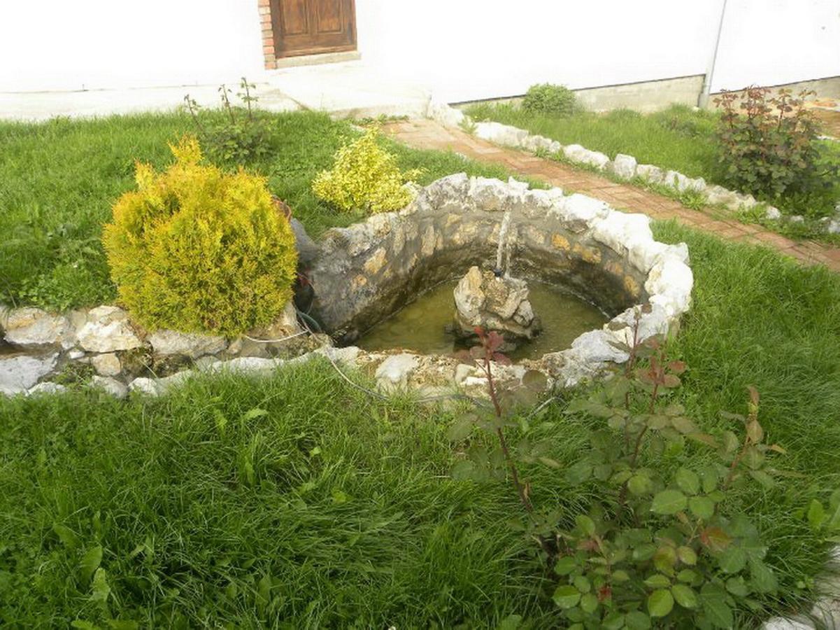 Panorama Lomnica Despotovac Exterior foto