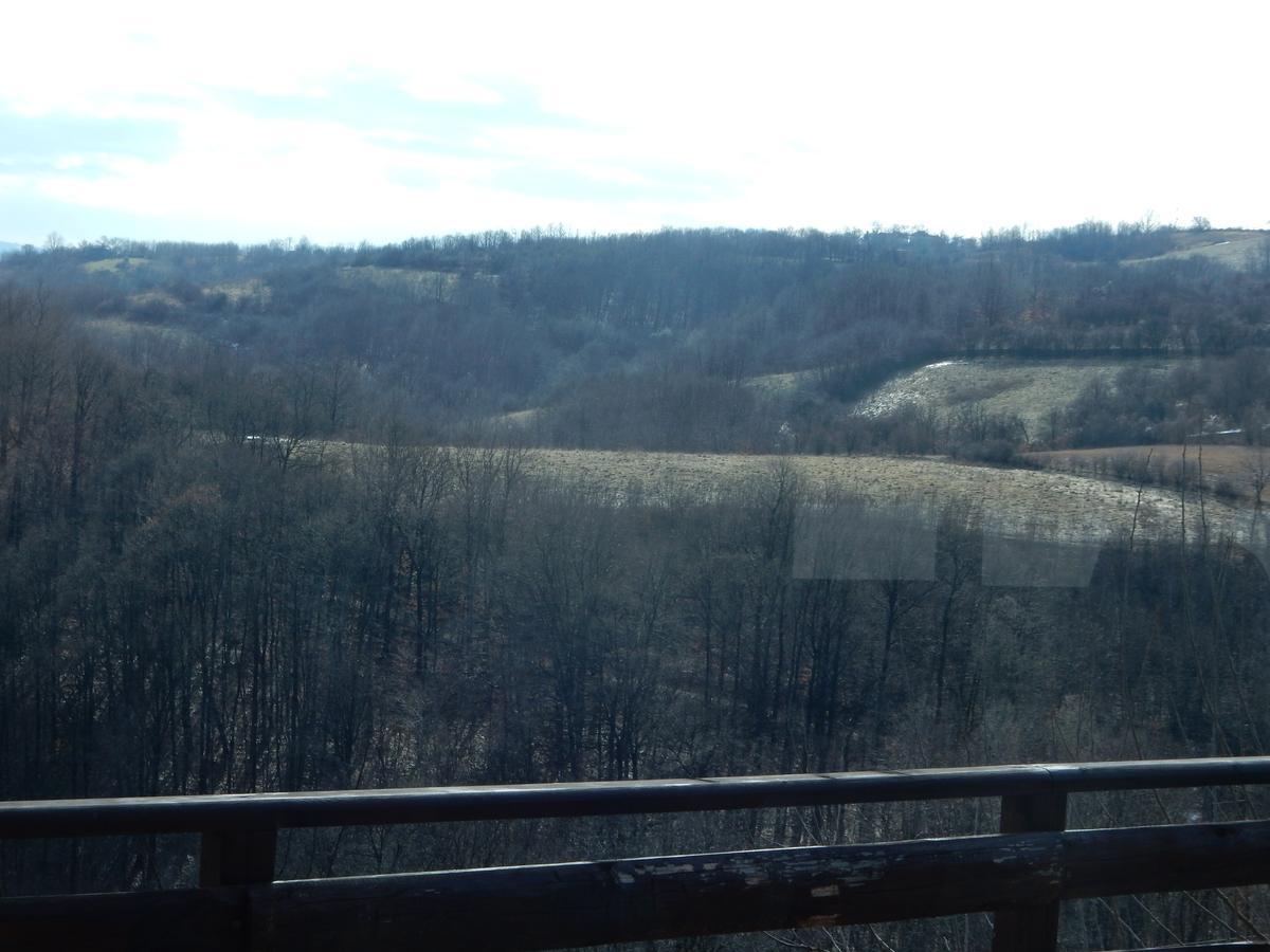 Panorama Lomnica Despotovac Exterior foto